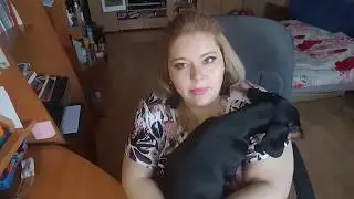 Собака после родов. Как ухаживать. Какие изменения. Моя такса.