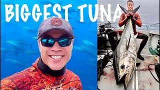 My Biggest California Tuna Yet!