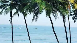 The Mesmerising #Goa