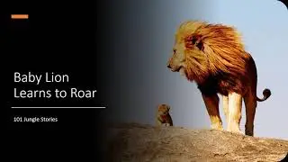 Baby Lion Learns To Roar I Stories for kids I Read along