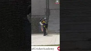 Sikandar of England !  #shorts  #paklions #cricketacademyofpathans #sports