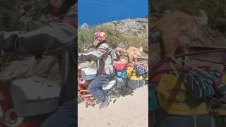 Coco Chittkul bike ride ! Ride with dog on bike all India ! Delhi to Chittkul Himachal Pradesh