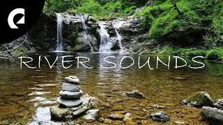 5 Hours of Relaxing River Sounds - Flowing Water and Forest Creek Ambience 🏞️