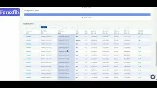 Update copy trade 01/10/2024