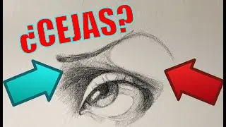 C&oacute;mo DIBUJAR CEJAS REALISTAS a l&aacute;piz en papel 👁️  Curso de dibujo online ✍️ Tutorial cejas