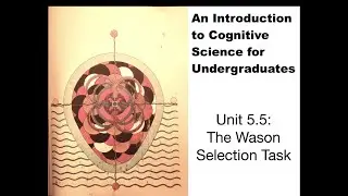 Unit 5.5: The Wason Selection Task
