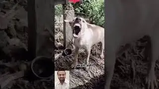 Instagram Funny Comments 🤣😂|| Funny Comments 🤣😂 | Funny Club #instagramfunnycomments #funnyvideo