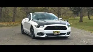 Ford Mustang | Proud and Lady Driven