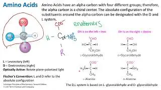 Stereochemistry of Amino Acids | Biochemistry