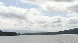Falling bird 🐦 in the lake