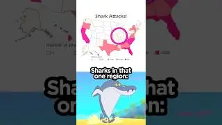 Sharko 🦈