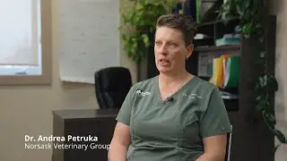 Career Talks: Veterinarian