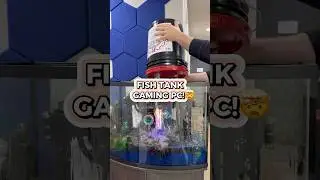 Fish Tank Gaming PC! 🤯