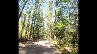 Tammany Trace Timelapse
