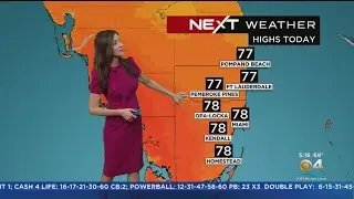 NEXT Weather: Miami + South Florida Forecast - Tuesday Morning 1/24/23