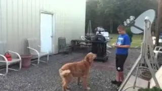 My dog eats grapes