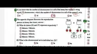 Reproduction lesson 1 part 3   التكاثر كتاب المعاصر بيولوجي 2026
