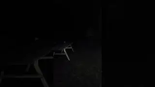 Orb Vlog #1