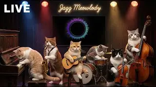 Jazz Meowlody – Clean Jazz Soul R&B | Relaxing Music for Focus & Night Listening
