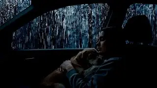 Immersive Night Rain in Car 🌙🌧️ Cinematic ASMR for Deep Relaxation