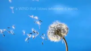 Holy Spirit images from the Bible