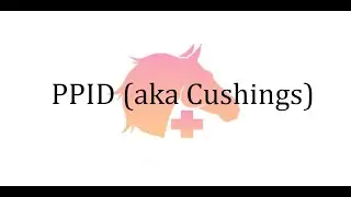 What is PPID (aka Cushings)  》 Ask a Veterinarian
