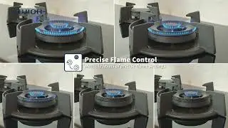 FUJIOH Built-In Gas Hob FH-GS30
