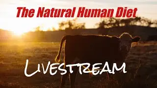 Natural Human Diet Breakfast Livestream Q+A- Bull testicles, Grassfed Beef, Eggs+Butter