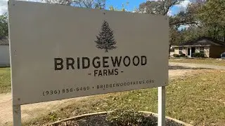 111425 Bridgewood Farms &mdash; скрытая жемчужина, меняющая жизни людей почти 60 лет