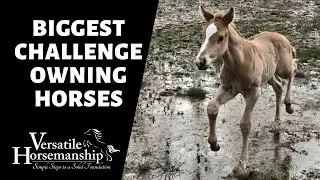 Biggest Challenge Of Owning Horses // Versatile Horsemanship