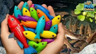 I got colorful ornamental fish in a small pond, goldfish, platy fish, glass fish, koi, catfish