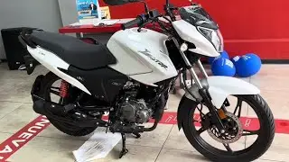all new hero ignitor 125cc xtec 2024 best family bike||hero ignitor 125 xtec 2024 model||ignitor 125