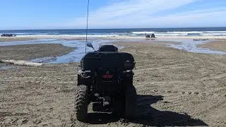Sand Lake Beach gold