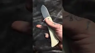 Petrified fish Tunny                           #edc #reels #fyp #shorts