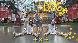 [K-POP IN PUBLIC ONE TAKE] TXT (투모로우 바이투게더) 'Cat & Dog' | Dance Cover by Blue Hour
