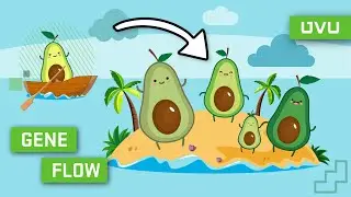 Что такое поток генов?