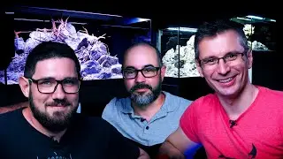 Набор аквариумов OASE для участия в конкурсе по строительству HARDSCAPE