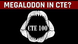 Paracel Storm Megalodon On CTE? 100th Patch Special - Battlefield 4 Easter Egg (BF4)