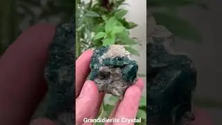 Grandidierite Crystal From Madagascar (EDENGEMS)