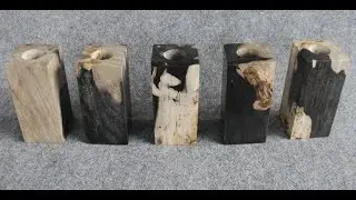 Petrified Wood Candle Holder