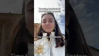 Разбрасывание тысяч семян полевых цветов на моей территории