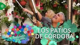 Andalucía de Fiesta | Los Patios de Córdoba, oasis de belleza, colorido y vida entre flores