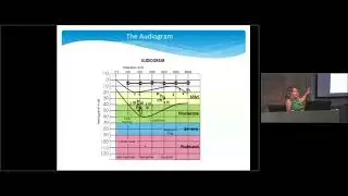 Norrie2018 - Hearing Health  Education, Preservation, & Treatment