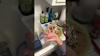 Italian Greek Mexican Burrito by Comedian Marla Lukofsky
