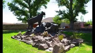 Shooting Cibolo (Cibolo Creek Ranch)