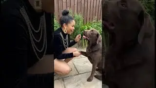 teaching dog how to say good morning #funny #petshub #funnypets #funnypuppy #puppyvideos #puppylove