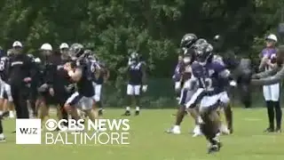 Baltimore Ravens backup QB Cooper Rush to get more reps against former team