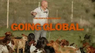 How Mordor Gundogs Went Global: Selling Dogs Across the World