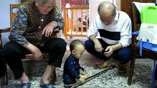 Playing w/ great grandma's walking stick (1y 3m 11d)