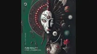 Silicon Sound - Pure Reality (Zyce Vs Flegma Remix)